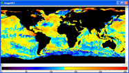 SST anomaly image