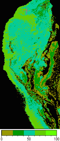 mangrove leaf area index image