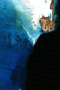 Satellite image